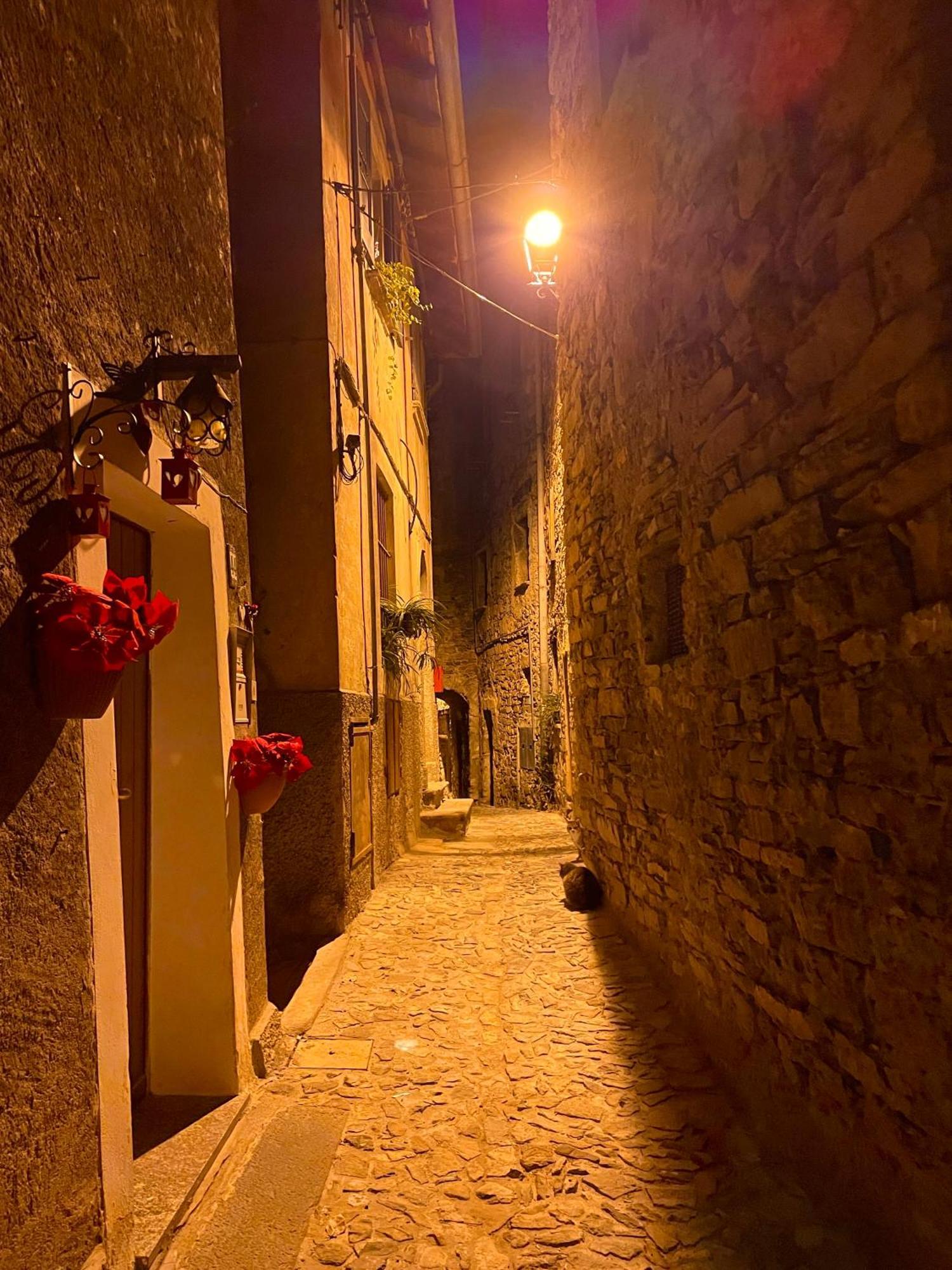 Romantic Home Stone With Amazing View Lake Of Como And Oleandra Laglio Esterno foto